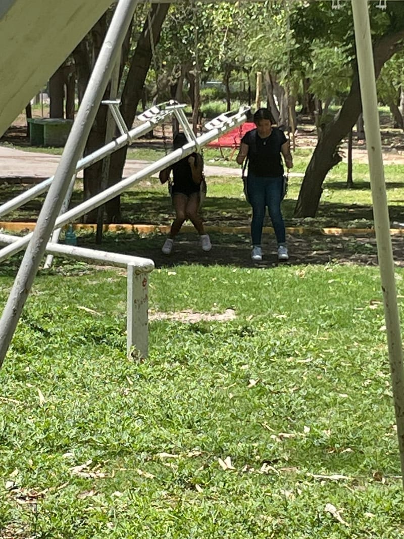 Picnic Literario