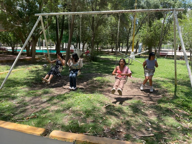 Picnic Literario