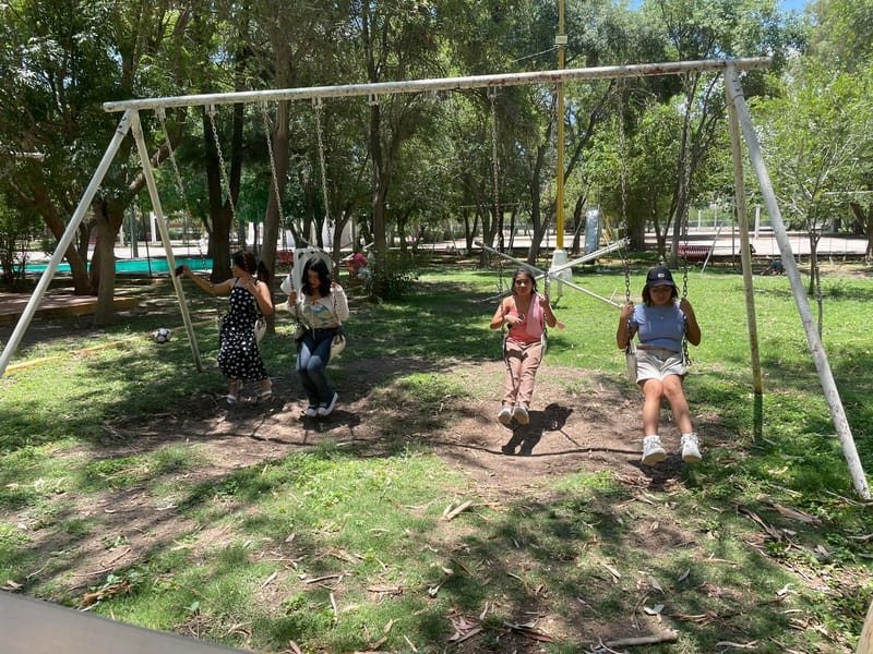 Picnic Literario