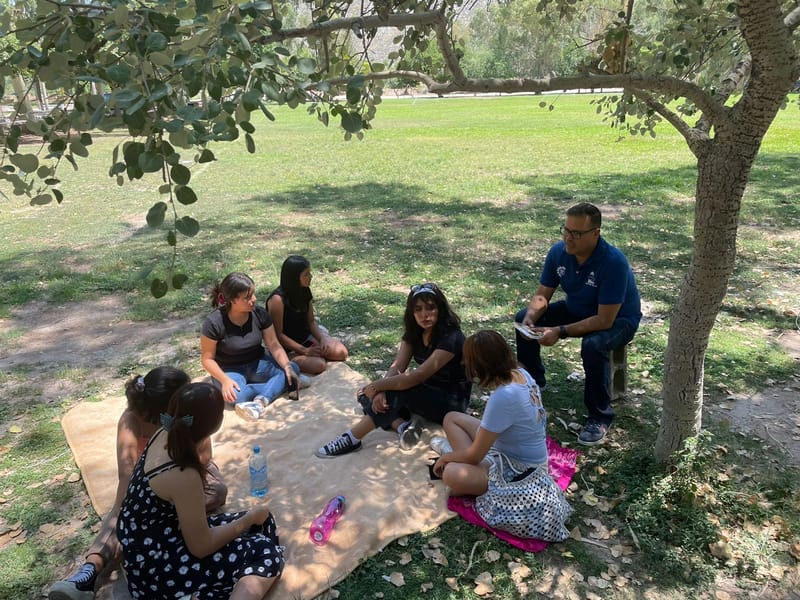 Picnic Literario