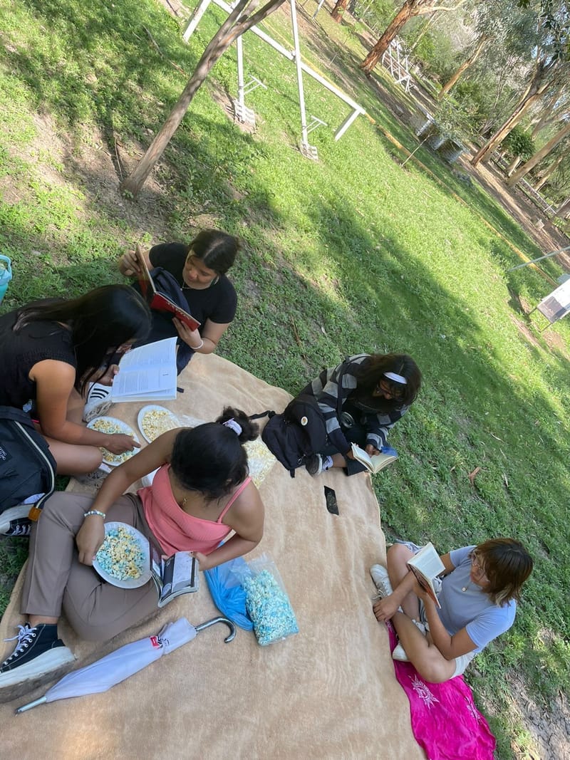 Picnic Literario