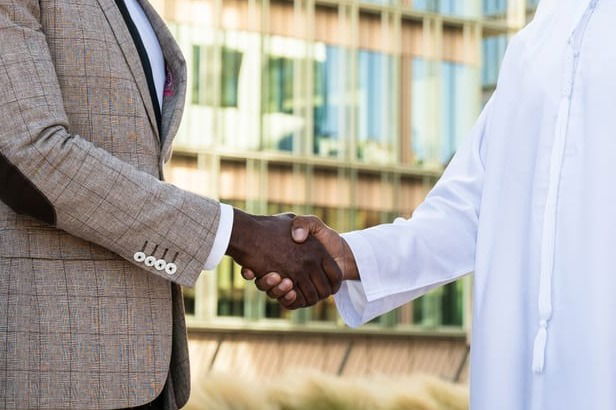 Robust Investor Networking & Partnership Facilitation