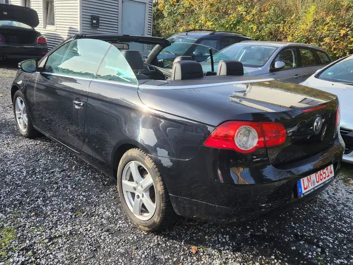 VW Cabrio 