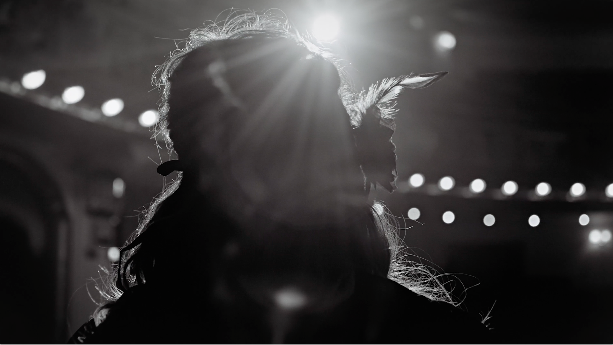 Masked Singer –  A Serious Break