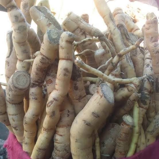 Permanent herbal manhood enlargement