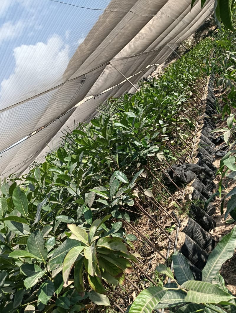 توريد أدوات ومعدات زراعية