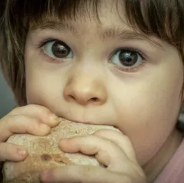 MEALFINDER
