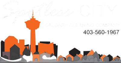 Spotless City