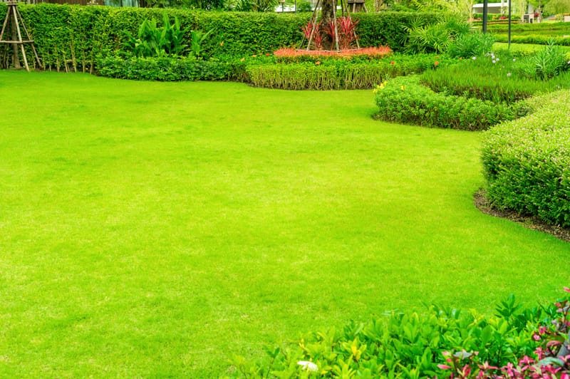 Consultanta Gratuita!