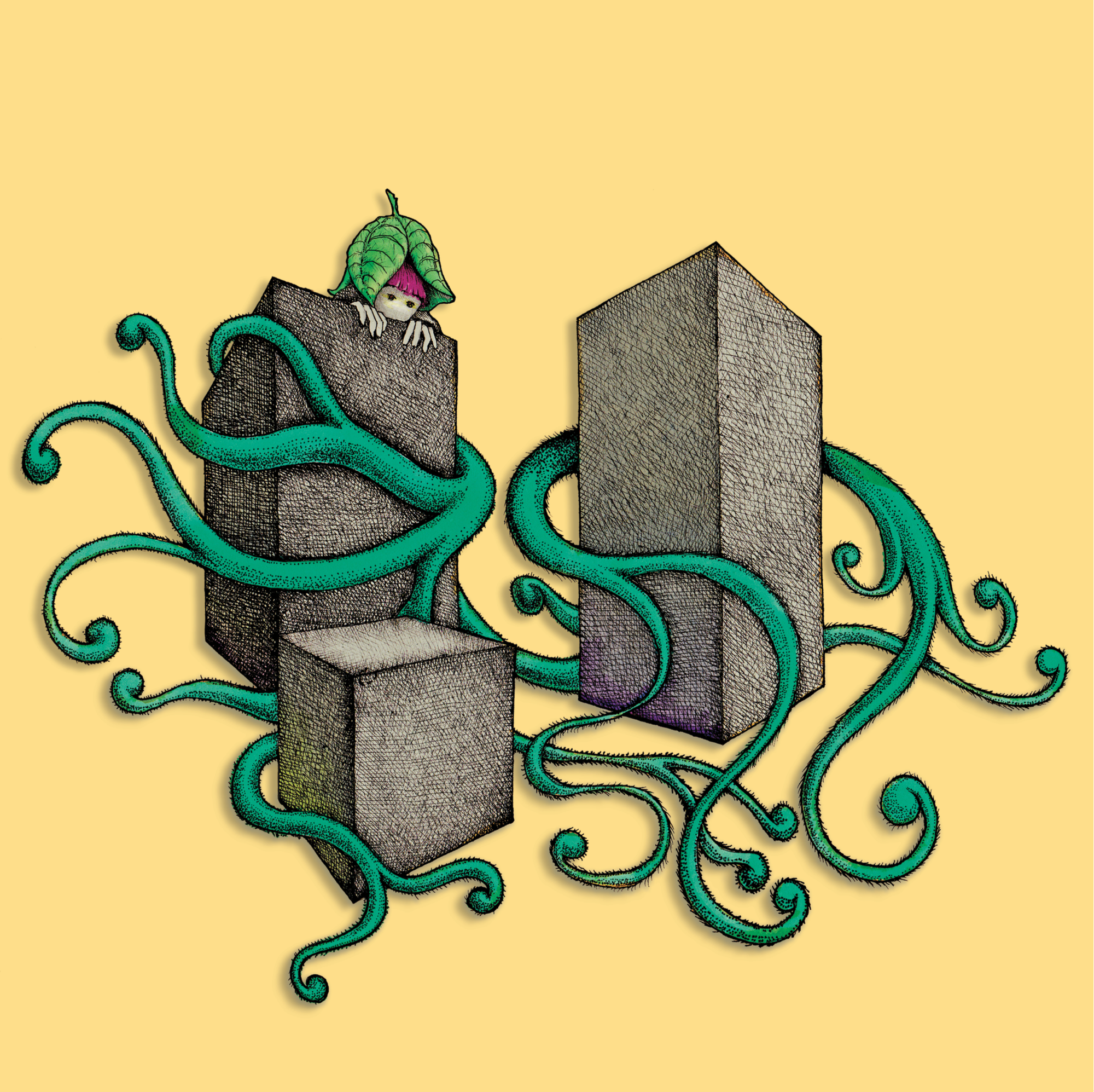 Drapeau 27. "Cube life"