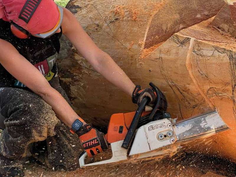 Biennale de Villeneuve