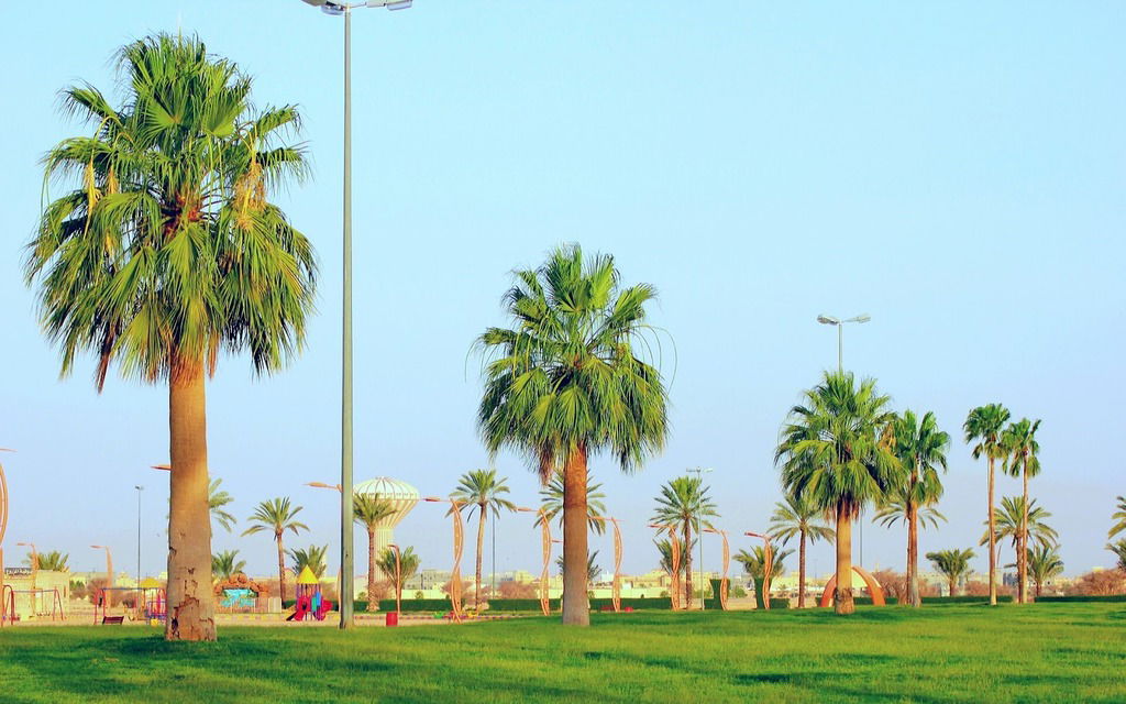 مدي يديك .. يا ليلى !