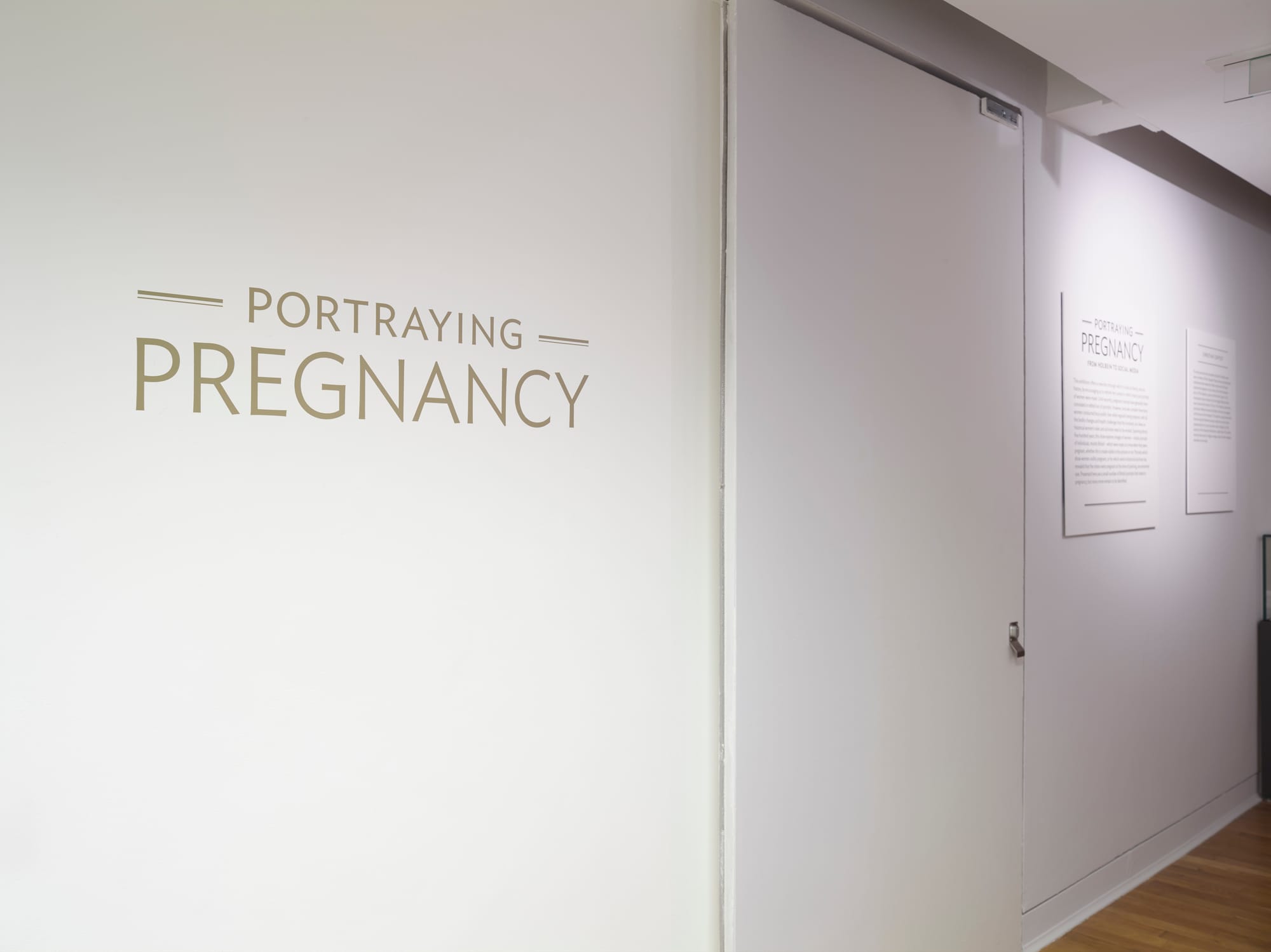 Portraying Pregnancy 