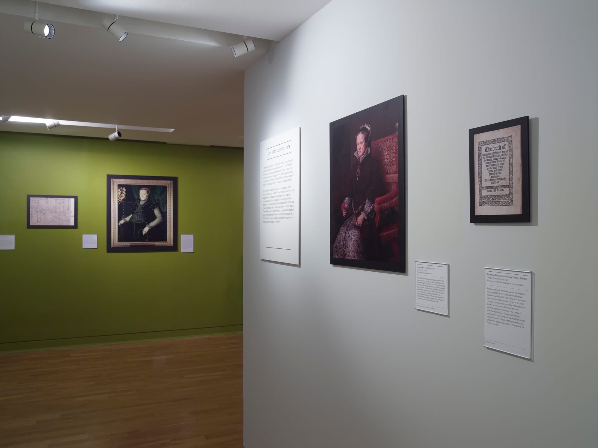 Portraying Pregnancy 