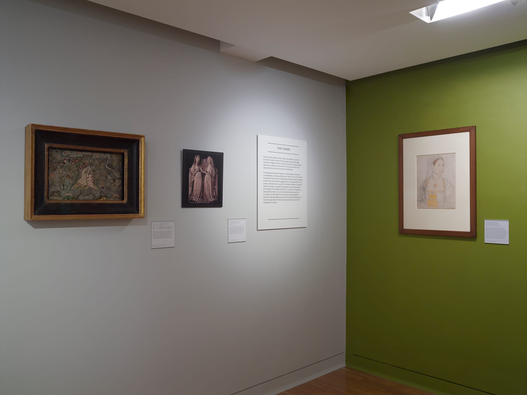 Portraying Pregnancy 