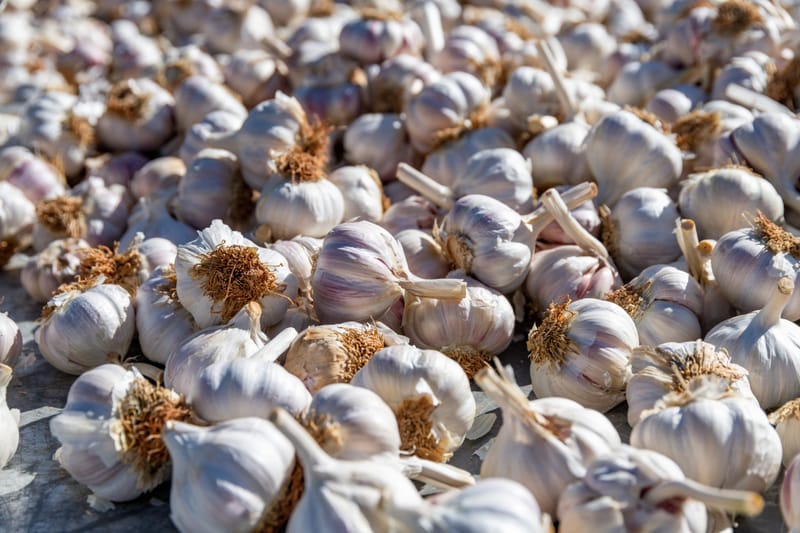 Custom Sourcing & Product Development