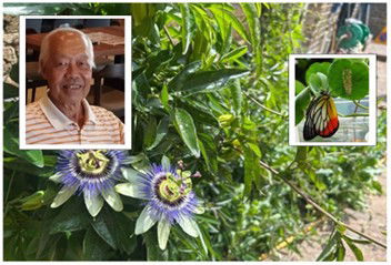 Introducing my story