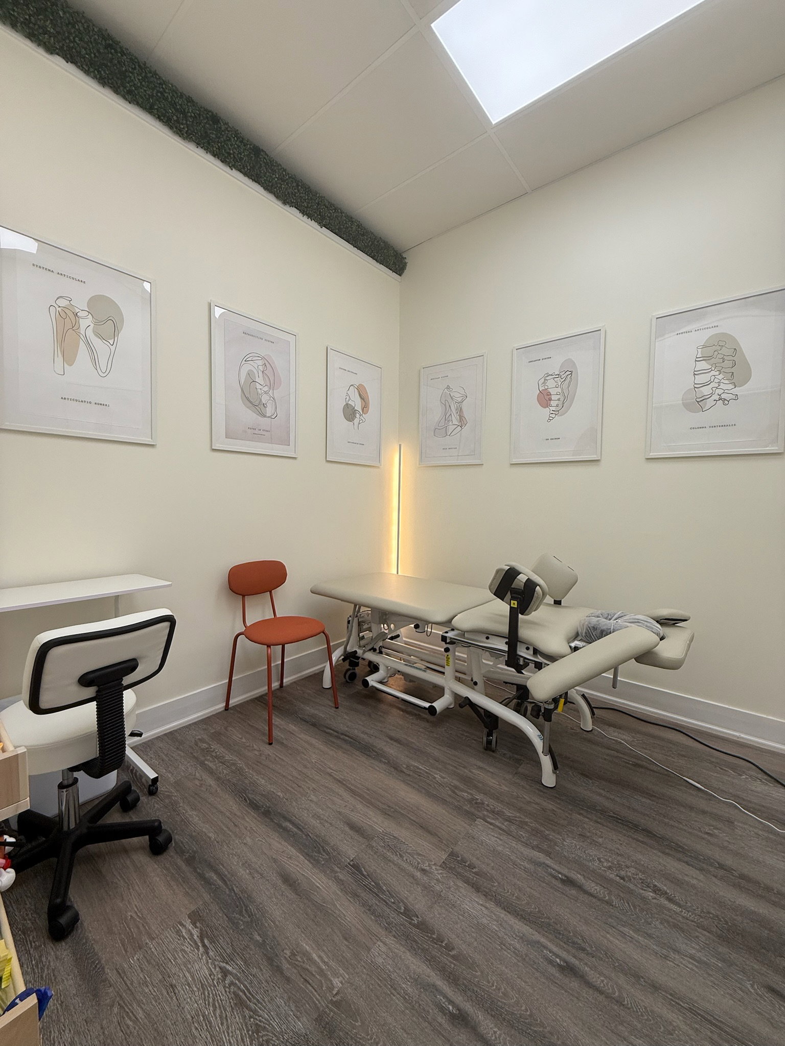 Treatment Room 4 - Pelvic Physiotherapy