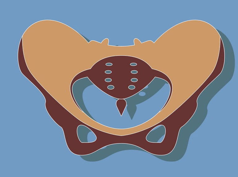 Pelvic Physiotherapy