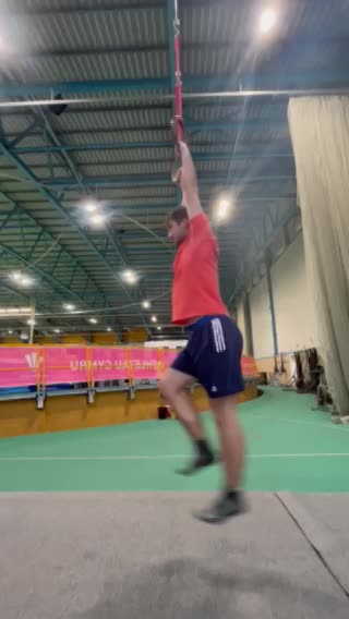Ring Swings thumbnail