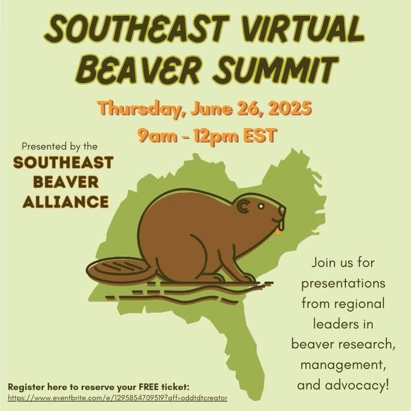 Southeast Virtual Beaver Summit