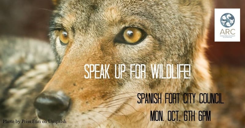 Speak Up for Local Wildlife! Spanish Fort City Council Meeting