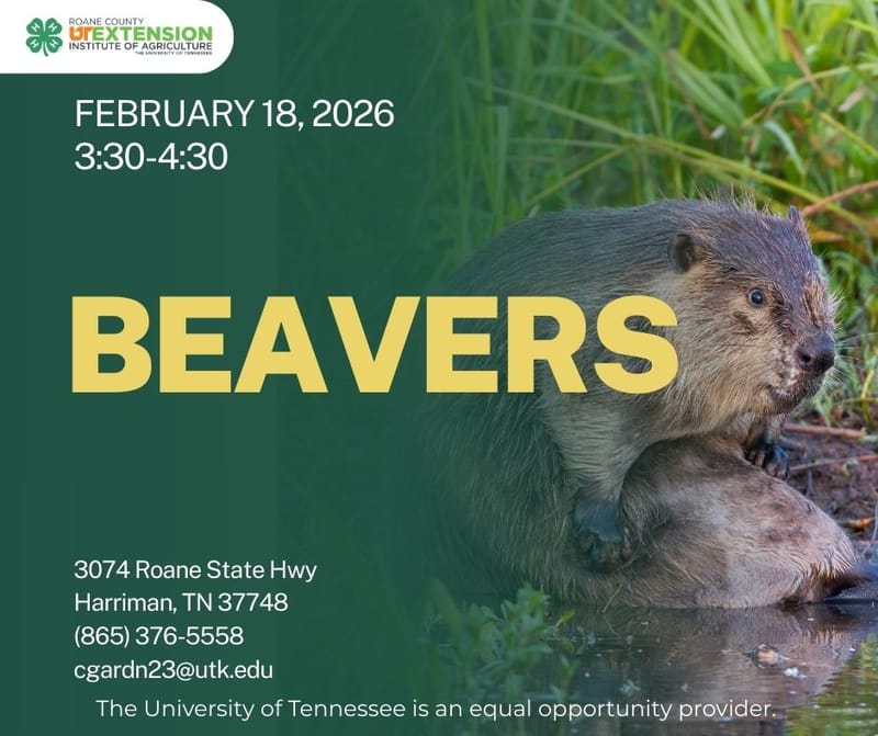 University of Tennessee Roane County Extension Homeschool Series