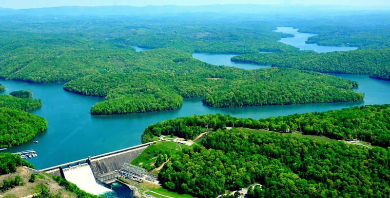 Bustling Beavers at Norris Dam State Park