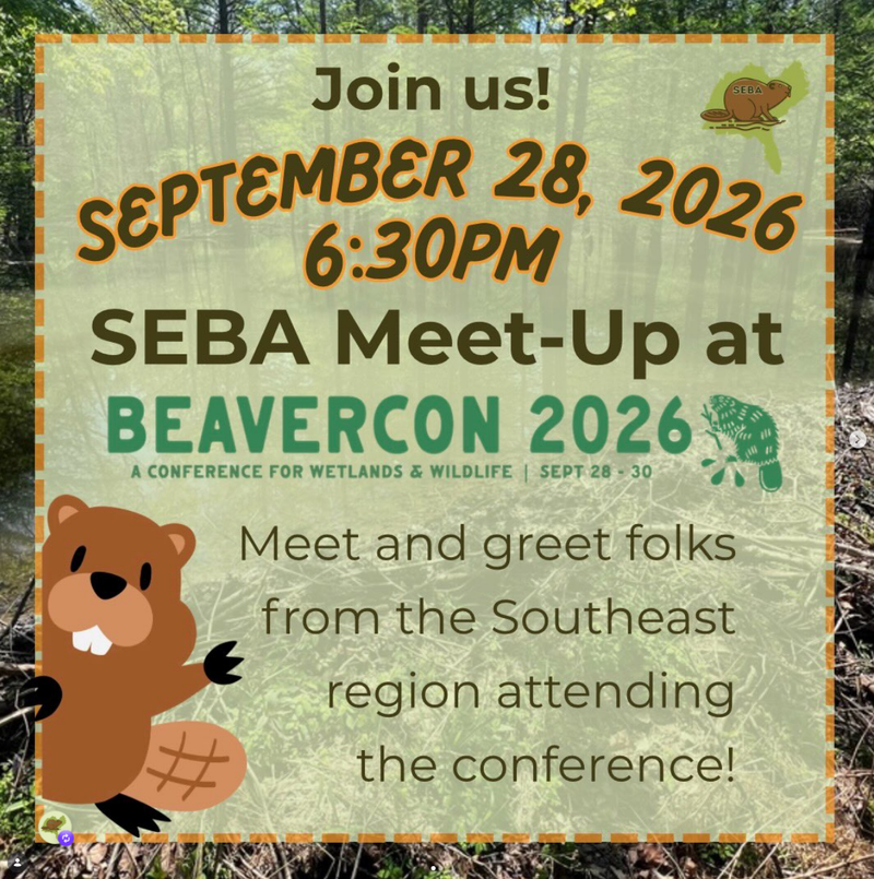 SEBA Meet-Up at BeaverCon