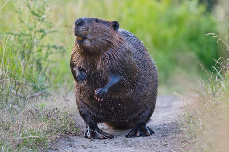 Education & Outreach Committee