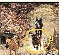 Cur-ious Beginnings — On Kindle Now