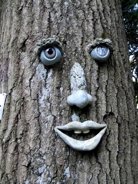 Tree Guy