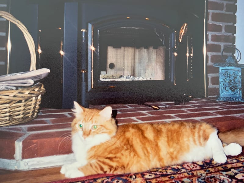 Featured Clip thumbnail