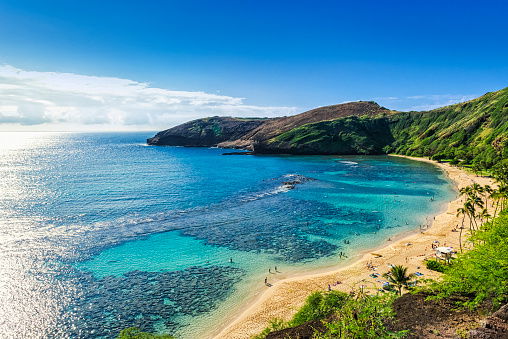 ISMRM Honolulu