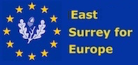 East Surrey for Europe