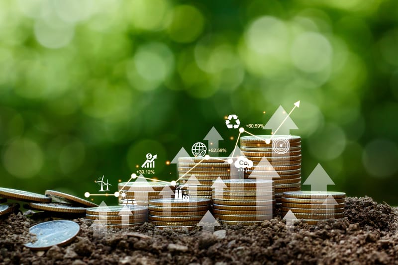 Investment Opportunity