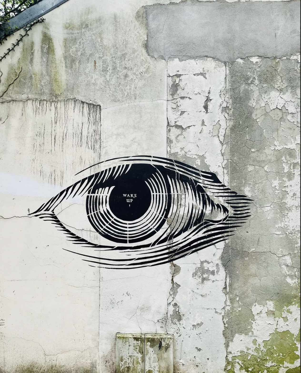 Focus