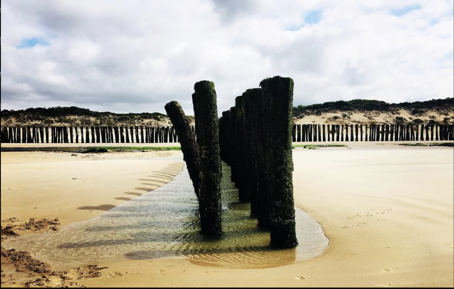 Faire des vagues