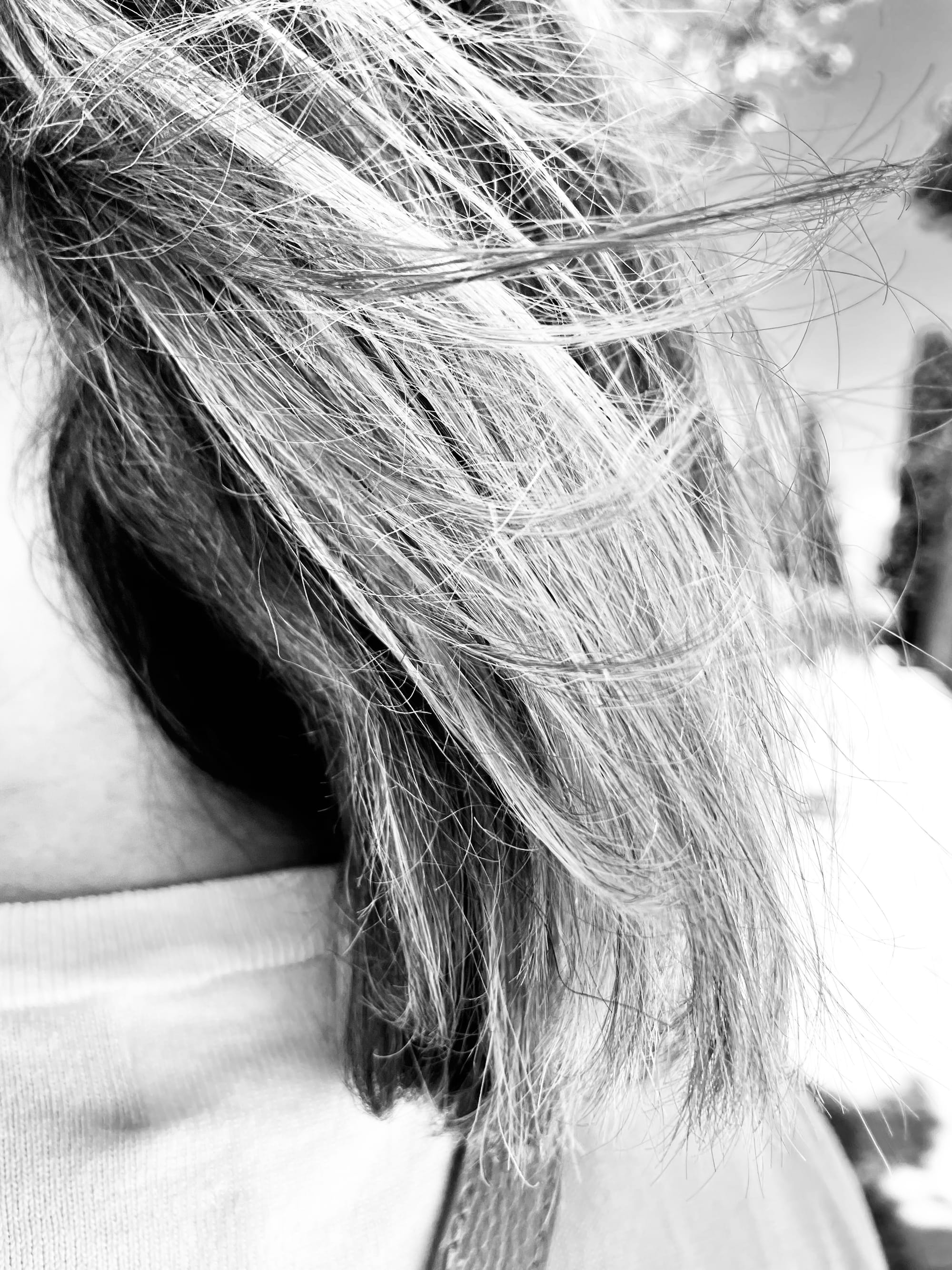 Brise