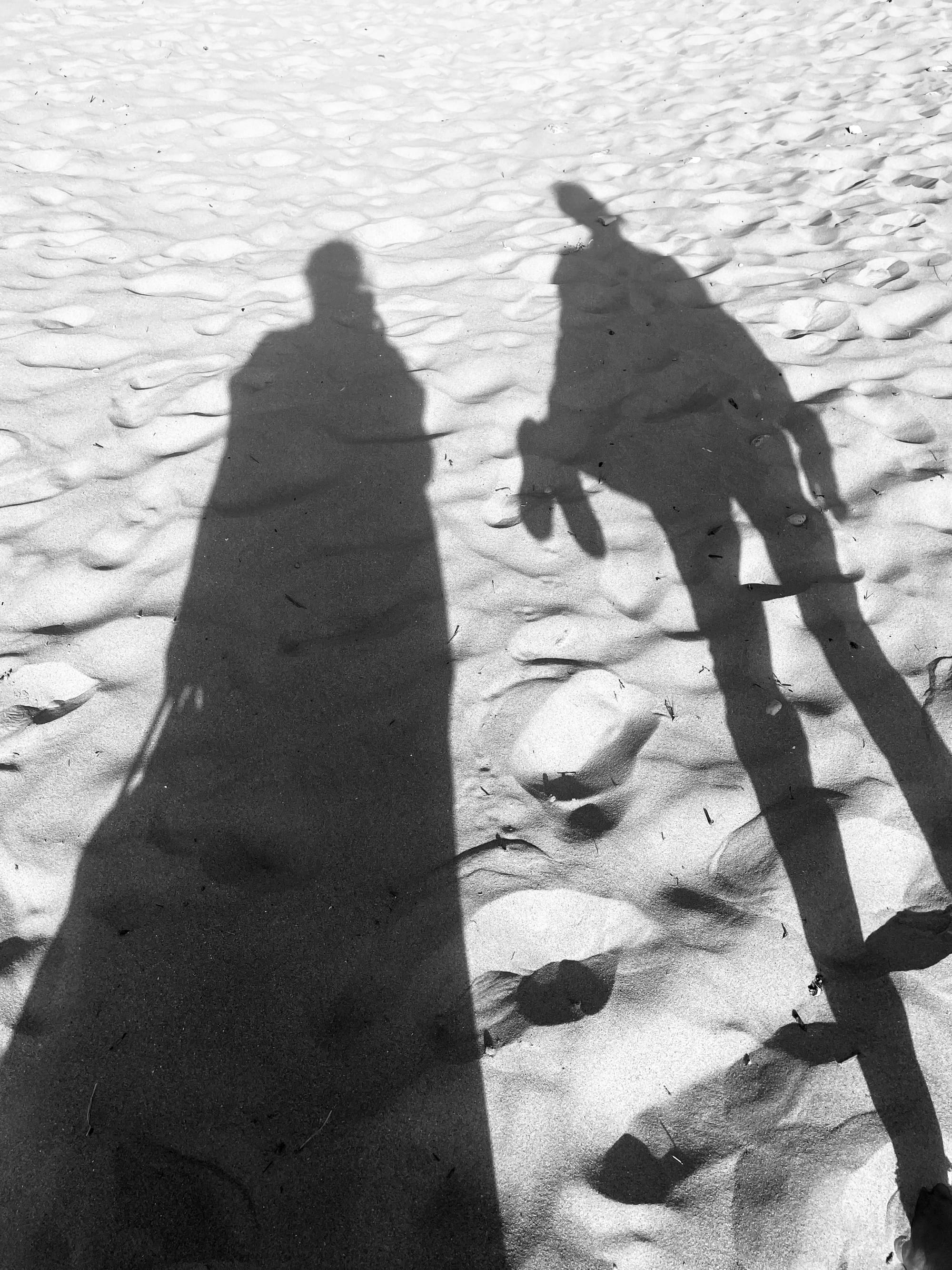 La cigale et la fourmi