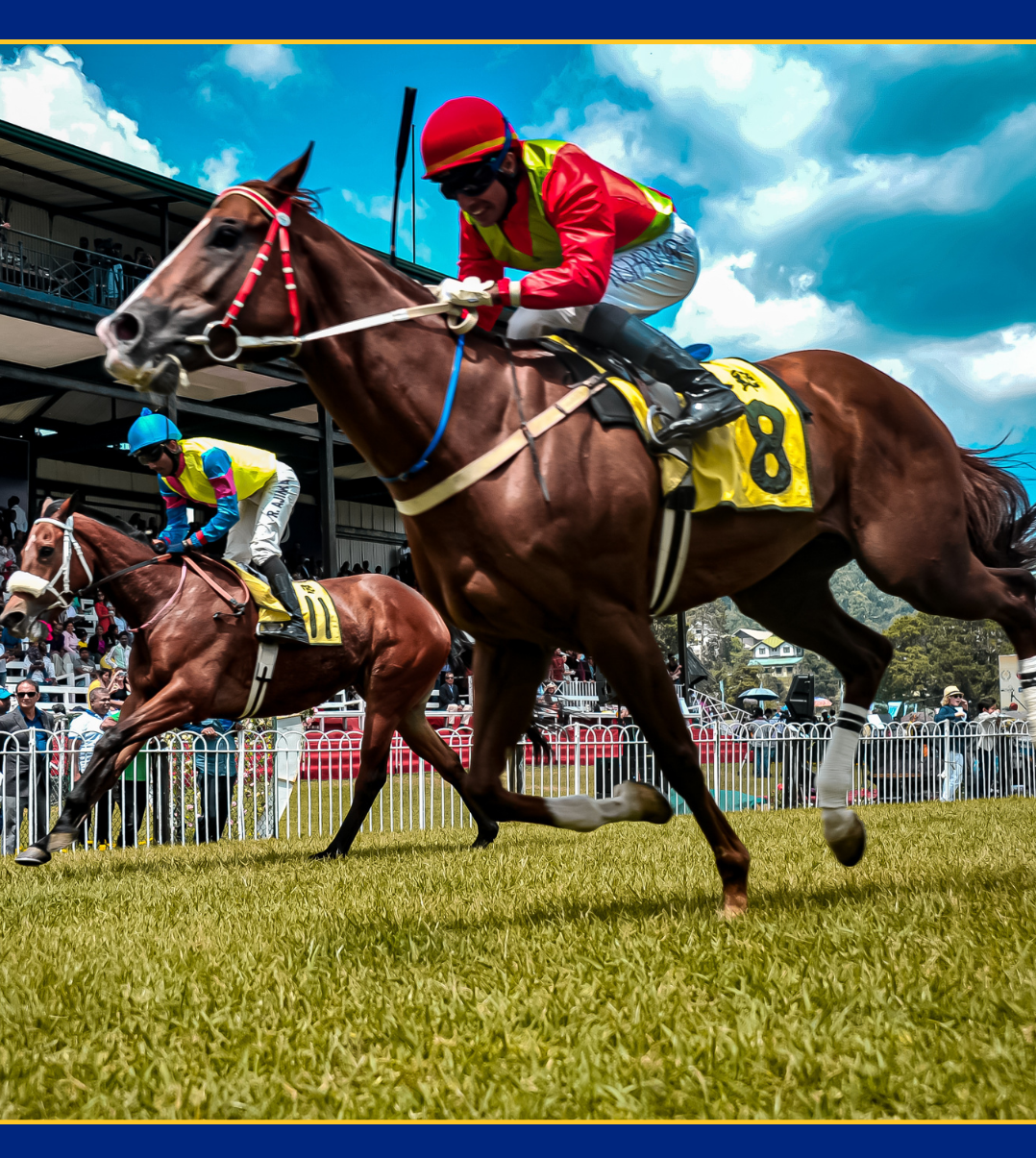 Beyond the Gold Cup Barbados Weekend - 3 Luxury Experiences (March 6-8th 2026)