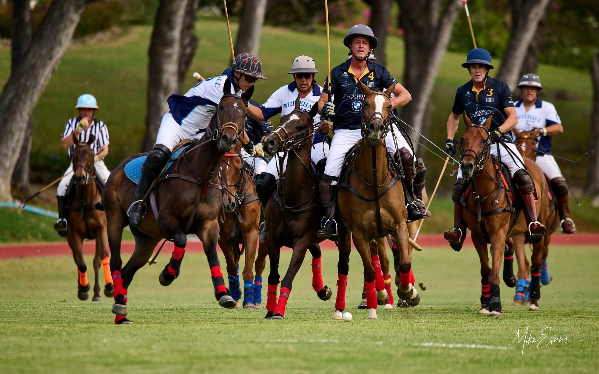 Tropical Polo Escape