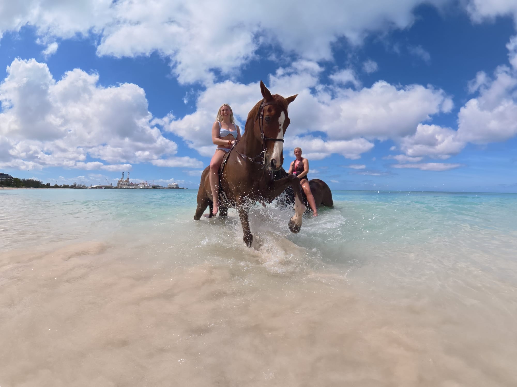 Ultimate Equestrian Summer Escape