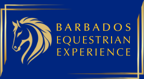 Barbados Equestrian Experience