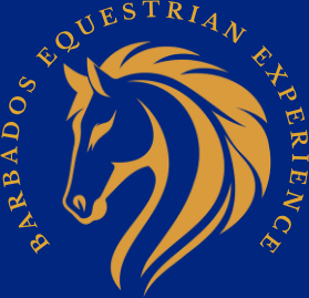 Barbados Equestrian Experience