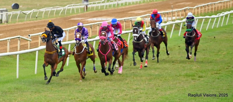 Horse Racing Afternoon
