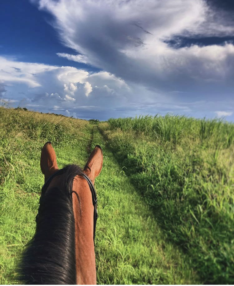 Country Estate Trail Ride