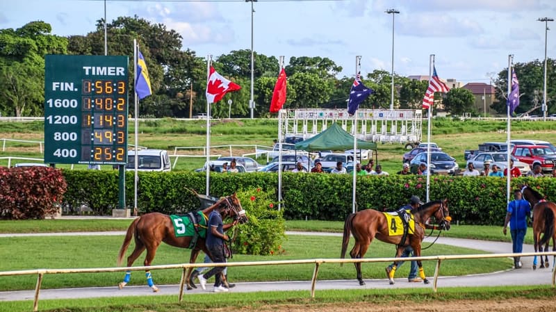 the Barbados Turf Club