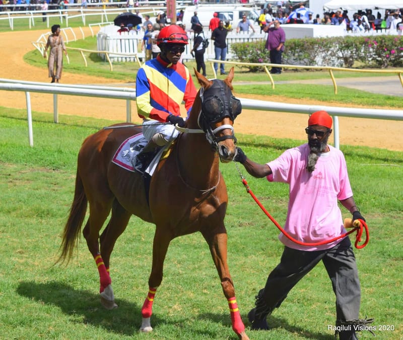 Racehorse & Heritage Tour