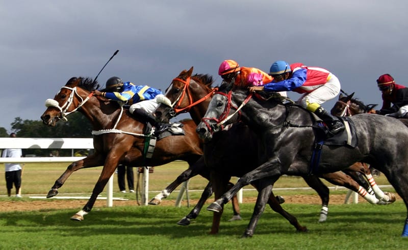 Experience “Beyond the Rails”: An Exclusive Barbados Gold Cup Weekend (March 5th–9th, 2026)